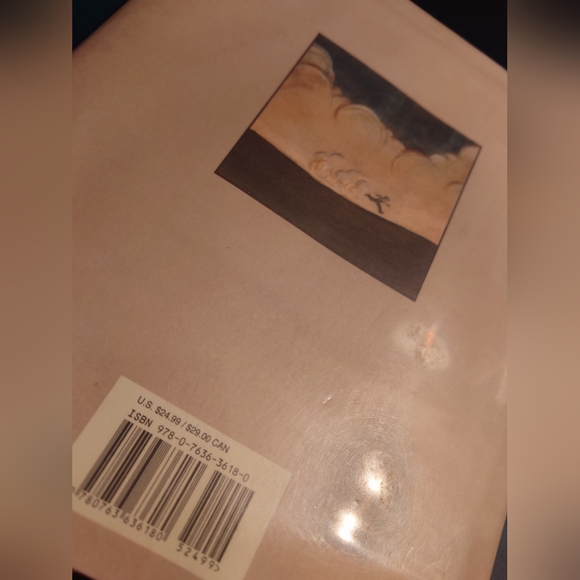 The Storm in the Barn by M.Phelan, Hardback Graphic Novel, Used - Picture 4 of 11